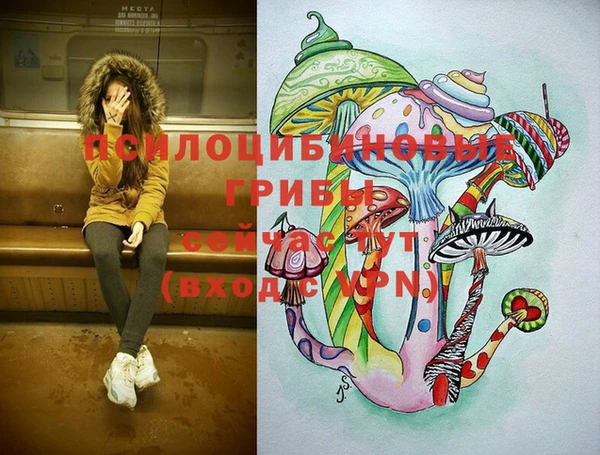 соль курить ск Алзамай